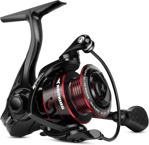 Royale legend fishing - legend, reel