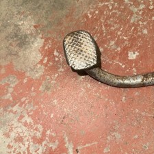 Genuine Honda CB250N cb400n