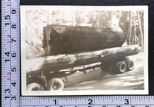 Occupational lumber logging - occupational,