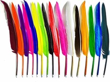16x Feather Quill Pens Set – Multicolor Writing Pens – Vintage Style Stationery