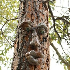 Old man tree faces decor bark