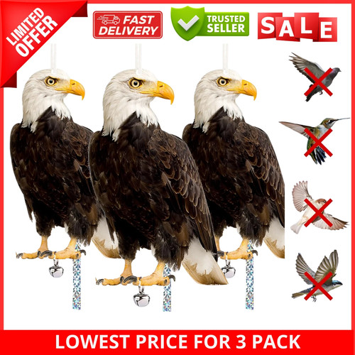 3pcs eagles bird - scarer, set