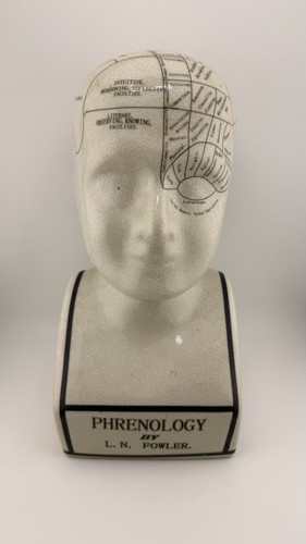 Large fowler phrenology - large,