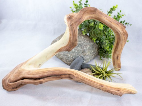 Large manzanita driftwood - large,