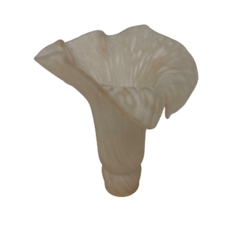 Tulip lily flower - tulip,