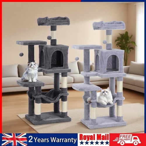 Large cat tree activity - cat,
