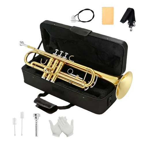 Gold trumpet with hard - trumpet,