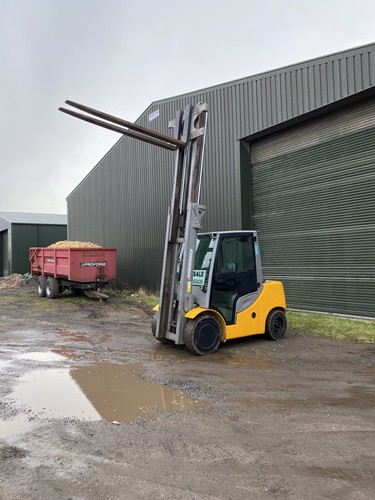Diesel forklift 2018 - forklift,