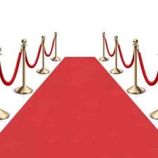 30FT HOLLYWOOD VIP RED CARPET
