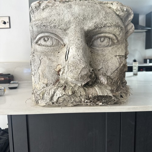 Large unusual face head - unusual,