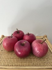Vintage 5x Plastic Red Apples