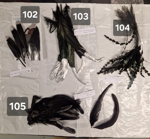 Feathers for millinery coque - feathers,
