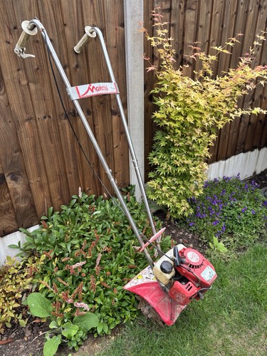 Mantis tiller two - mantis,
