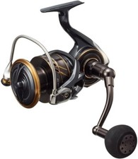 Daiwa 22 CALDIA SW 10000-P