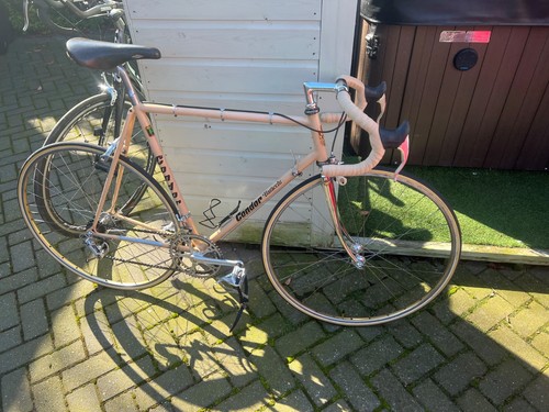 Condor baracchi steel road - steel,