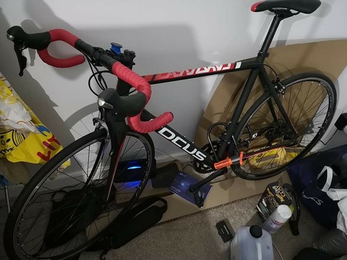 Road bike focus cayo - road,