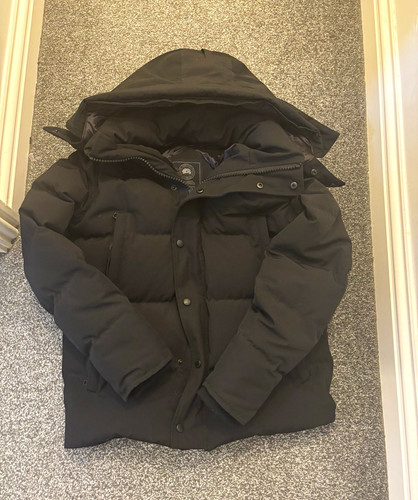 Canada goose arctic program - canada,
