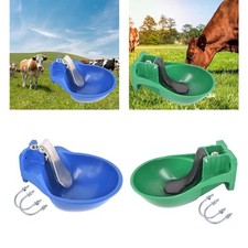 Automatic Cow Drinking Water