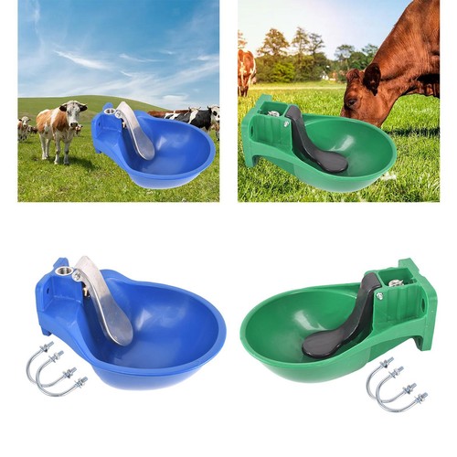 Automatic cow drinking water - drinking,