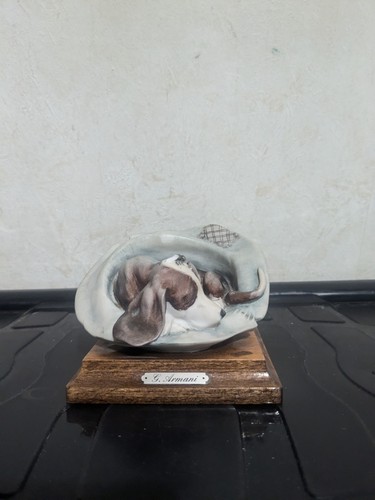 Giuseppe armani dog hat - armani,