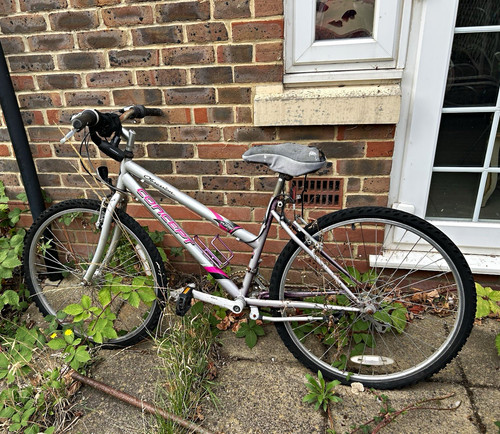 Bike silver pink flat tires - flat,