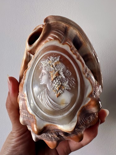 Antique vintage conch - antique,