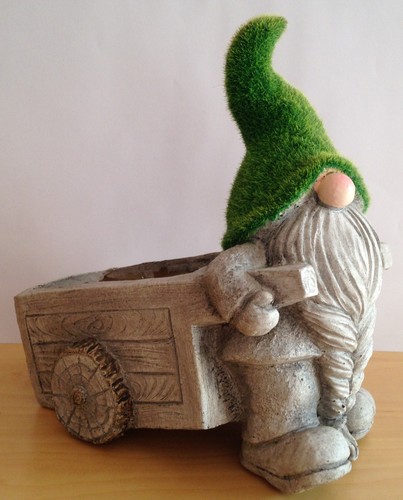 Garden gnome wheelbarrow plant