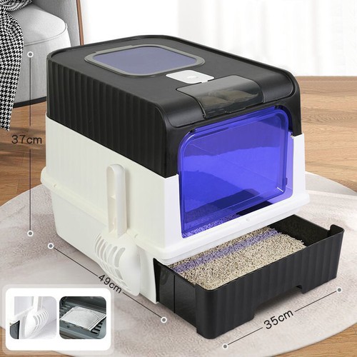 Sterilization hooded cat - sterilization,
