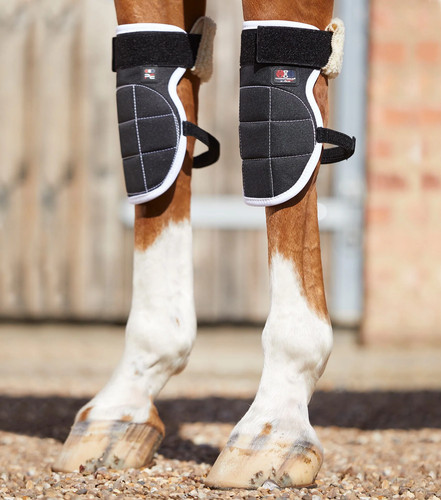 Premier equine magni - premier,