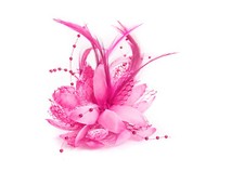 Flower Feather Fascinator Bead Beak Hair Clip Brooch Ladies Day Ascot Races