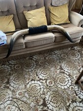 Horns bull 54” wide 