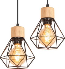 2X Industrial Pendant Light