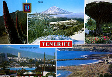 Postcard Spain Canary Islands