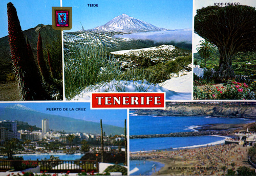 Postcard spain canary islands - canary,