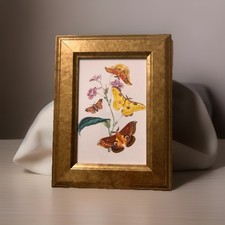 The Cabinet of Oriental