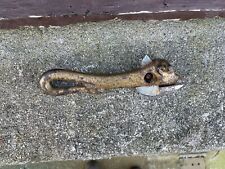 Antique Tin Can Opener Bull Head