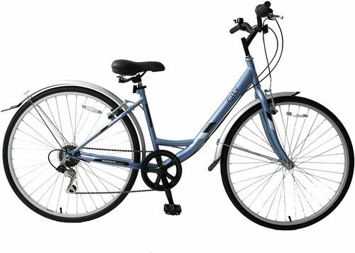 Professional city 700c - 700c, 19"