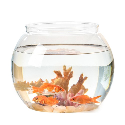 Fish bowl aquarium - aquarium,