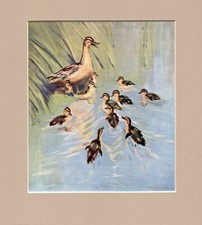 Peter Scott ~ Responsiblities