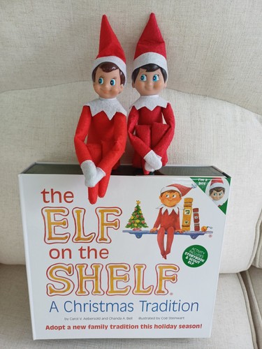The elf - elf, (boy)