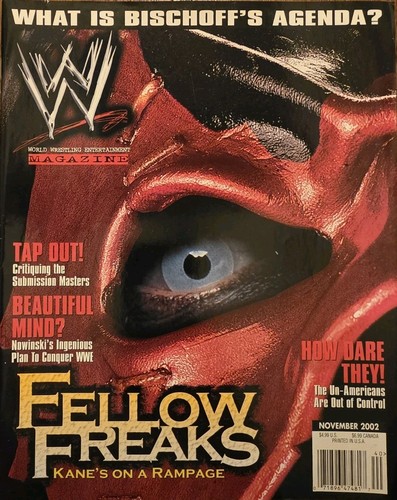 Wwe magazine november 2002 - wwe,