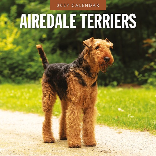Airedale terriers 2027 square - terriers,