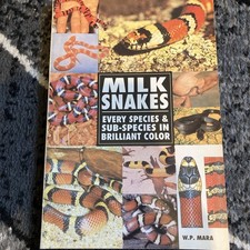 Milk Snakes Every Species and
