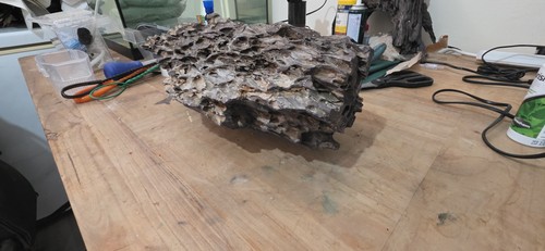 10kg dragon rock aquarium - 10kg,