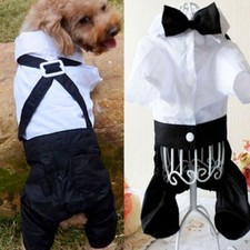 Tuxedo Bowtie Halloween Dog