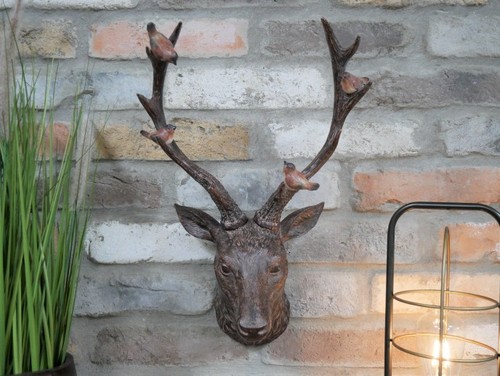 Stag head wall - head, mounted