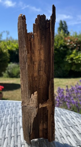 25cm driftwood hollow log - 25cm,