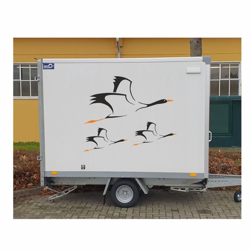 Cranes motorhome sticker to - cranes,