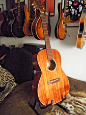 Takamine Pro-Series EF407 ”