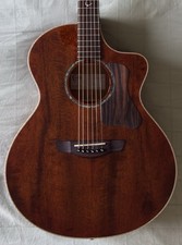 FAITH FX NEPTUNE LIMITED EDITION DARK NATURAL GOLD ACOUSTIC GUITAR